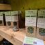 Thee uit de natuur lokaal product Texel gezondheid theemix